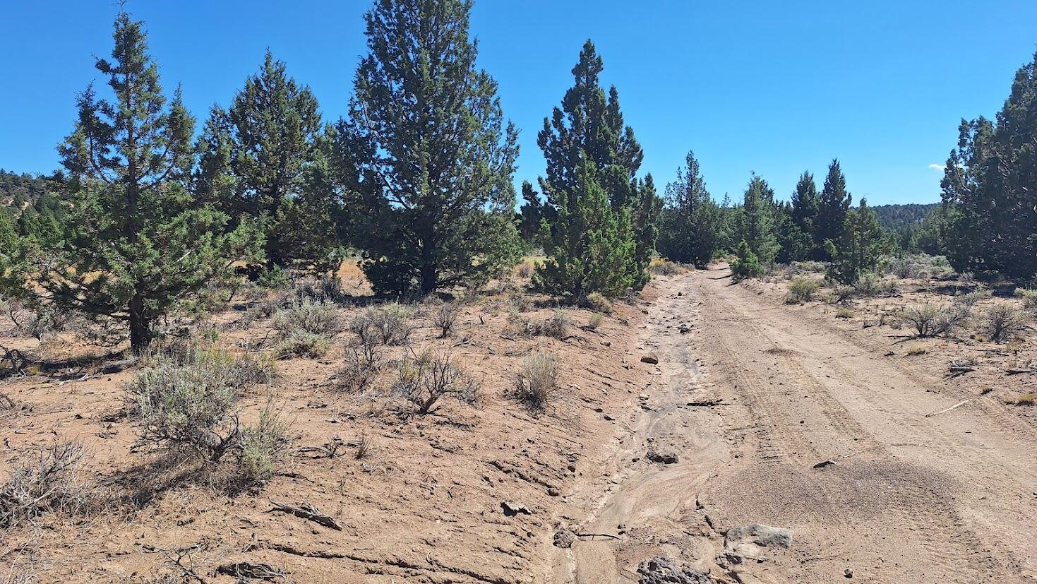 400 GoldenView Ranch 400