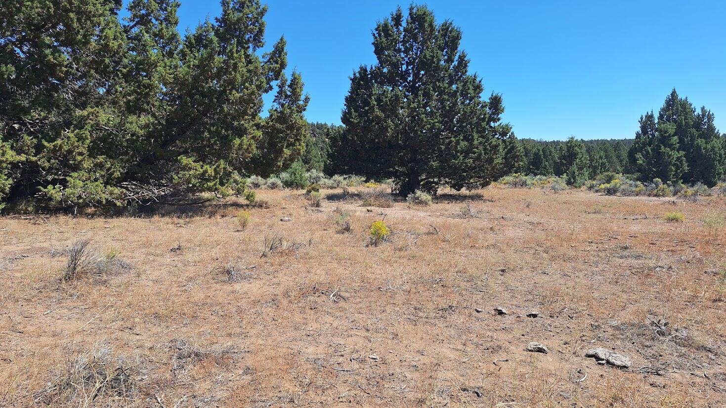 400 GoldenView Ranch 400