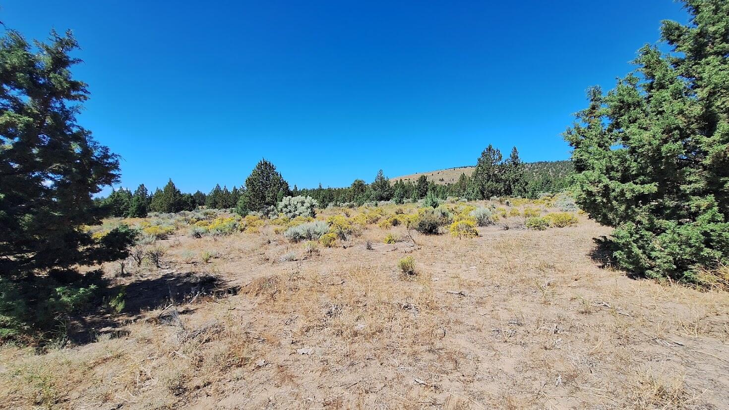 Golden View Ranch - Land