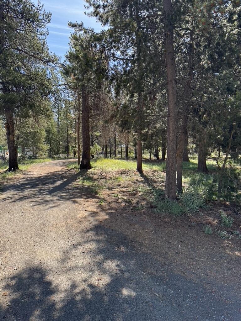 Forest View - Residential