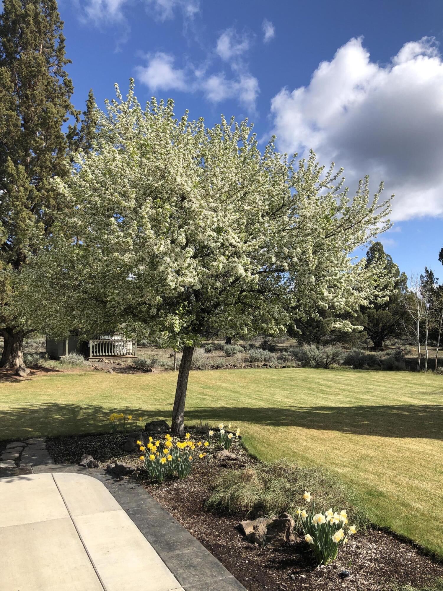 Crestridge Estate - Residential