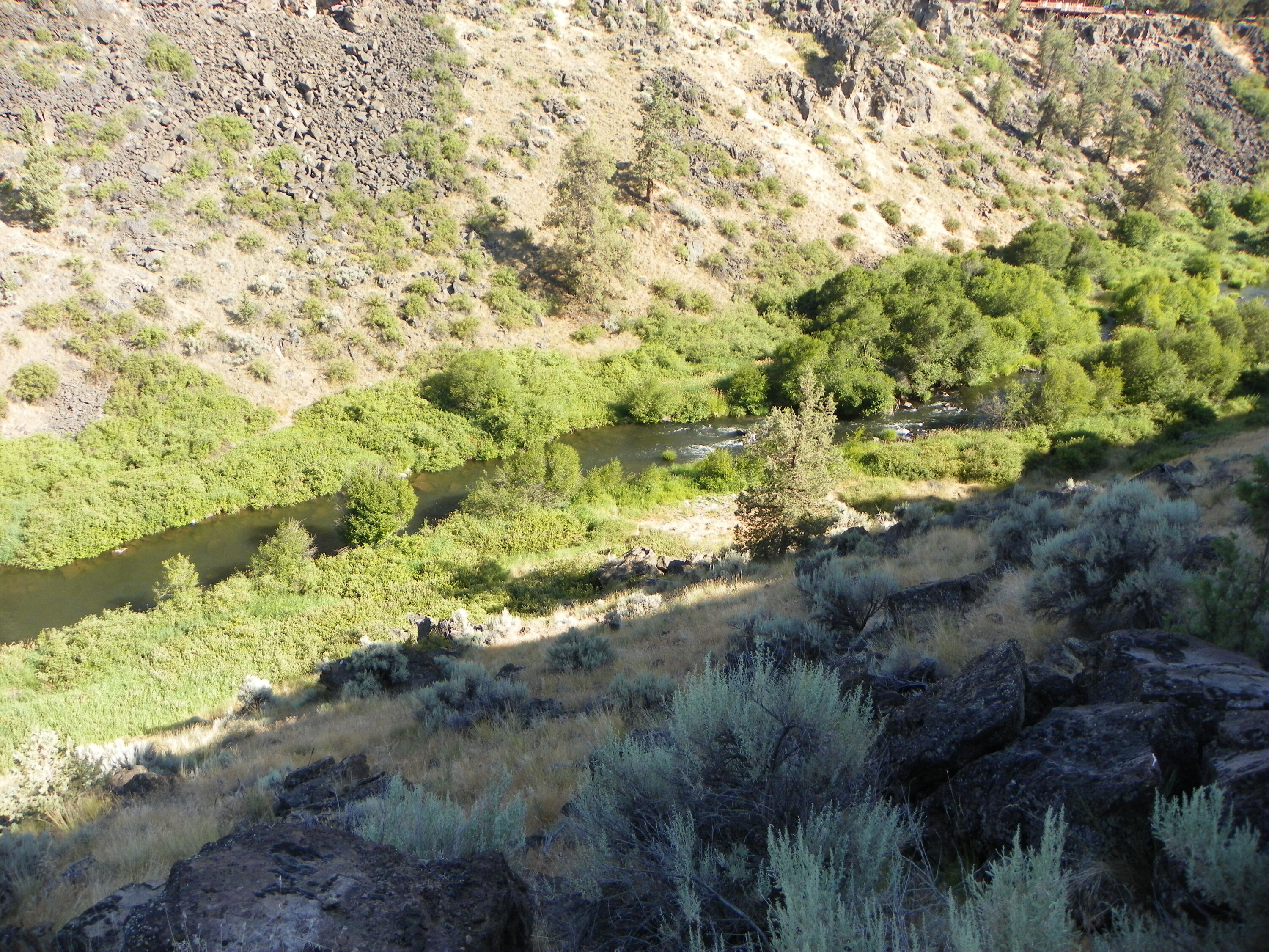 Crestridge Estate - Residential