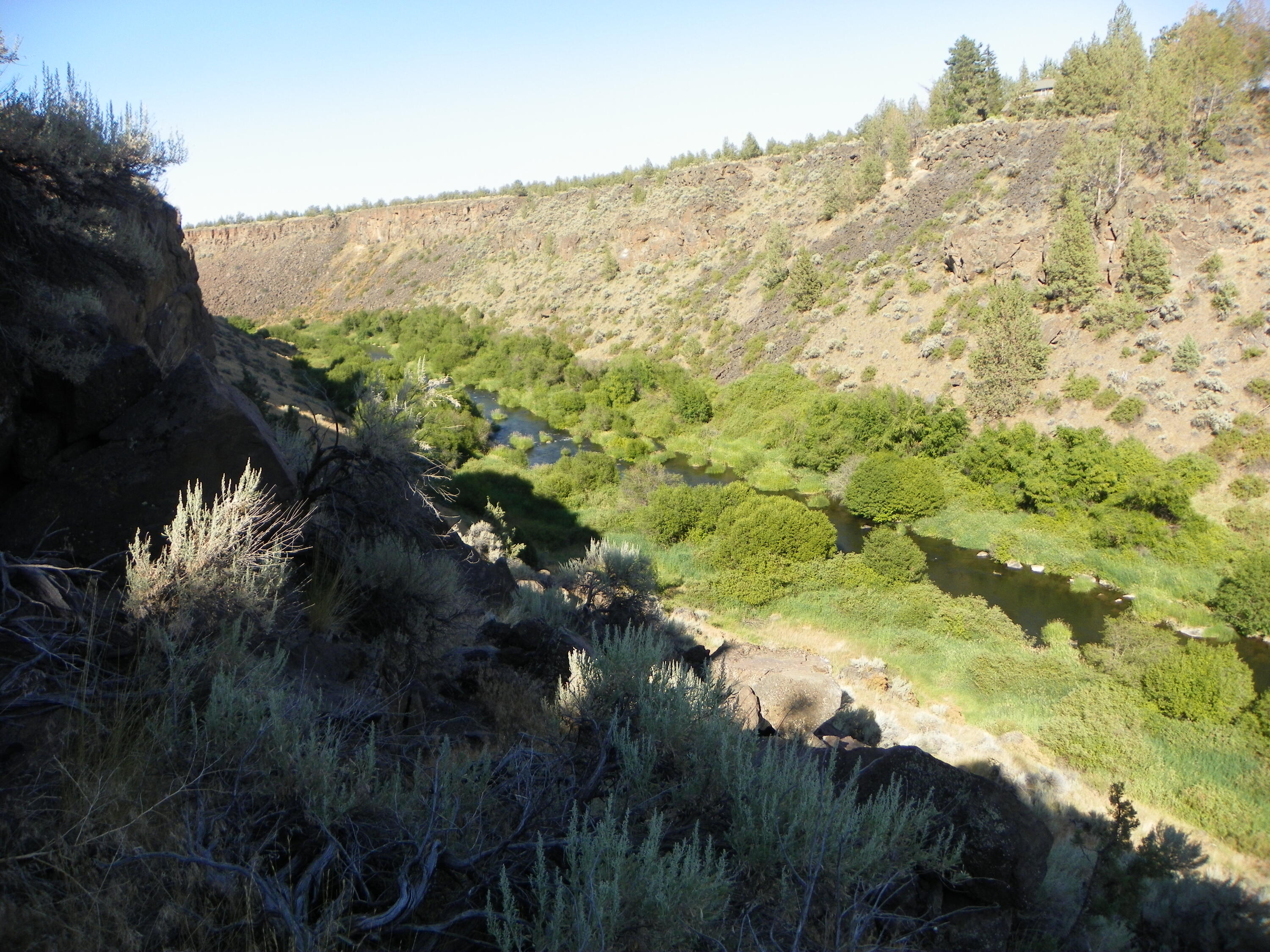 Crestridge Estate - Residential