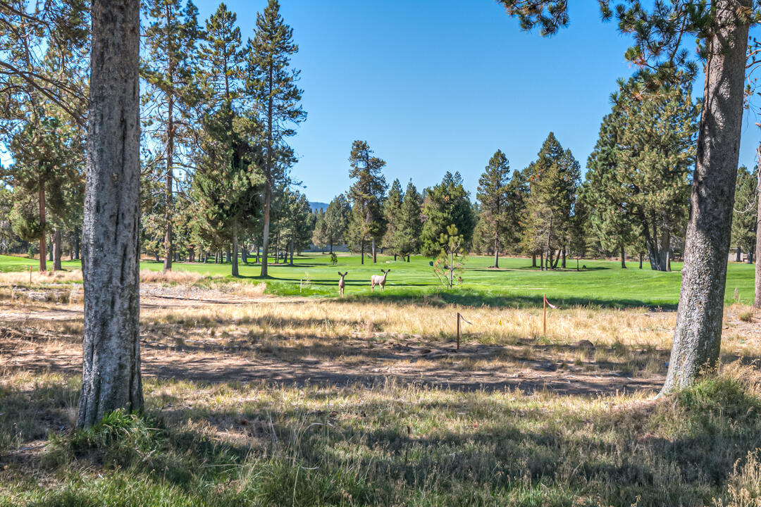 Eaglewood - Residential