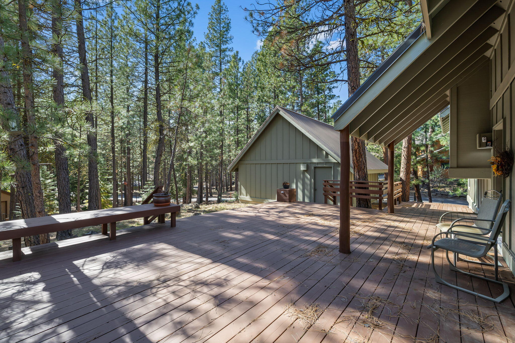 13719 Partridge Foot RR 81