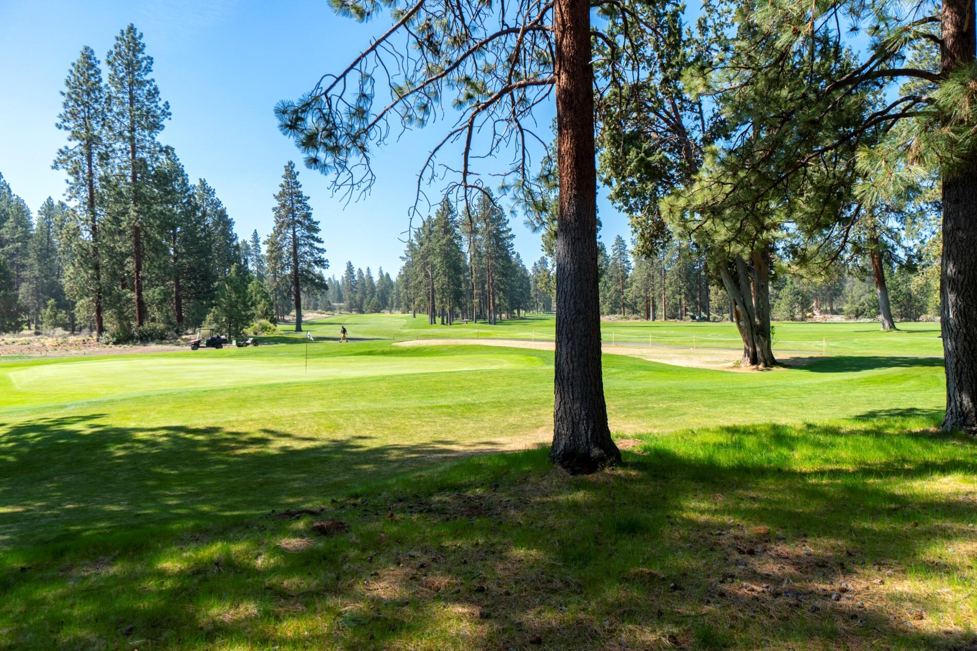 Wildwood Park - Residential