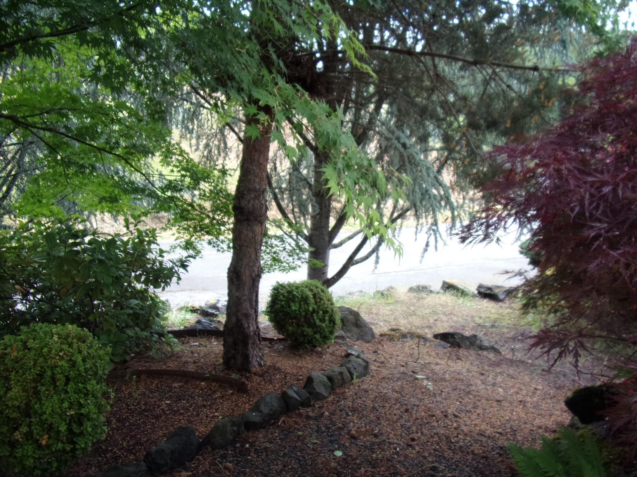 Myrtle Creek - Residential