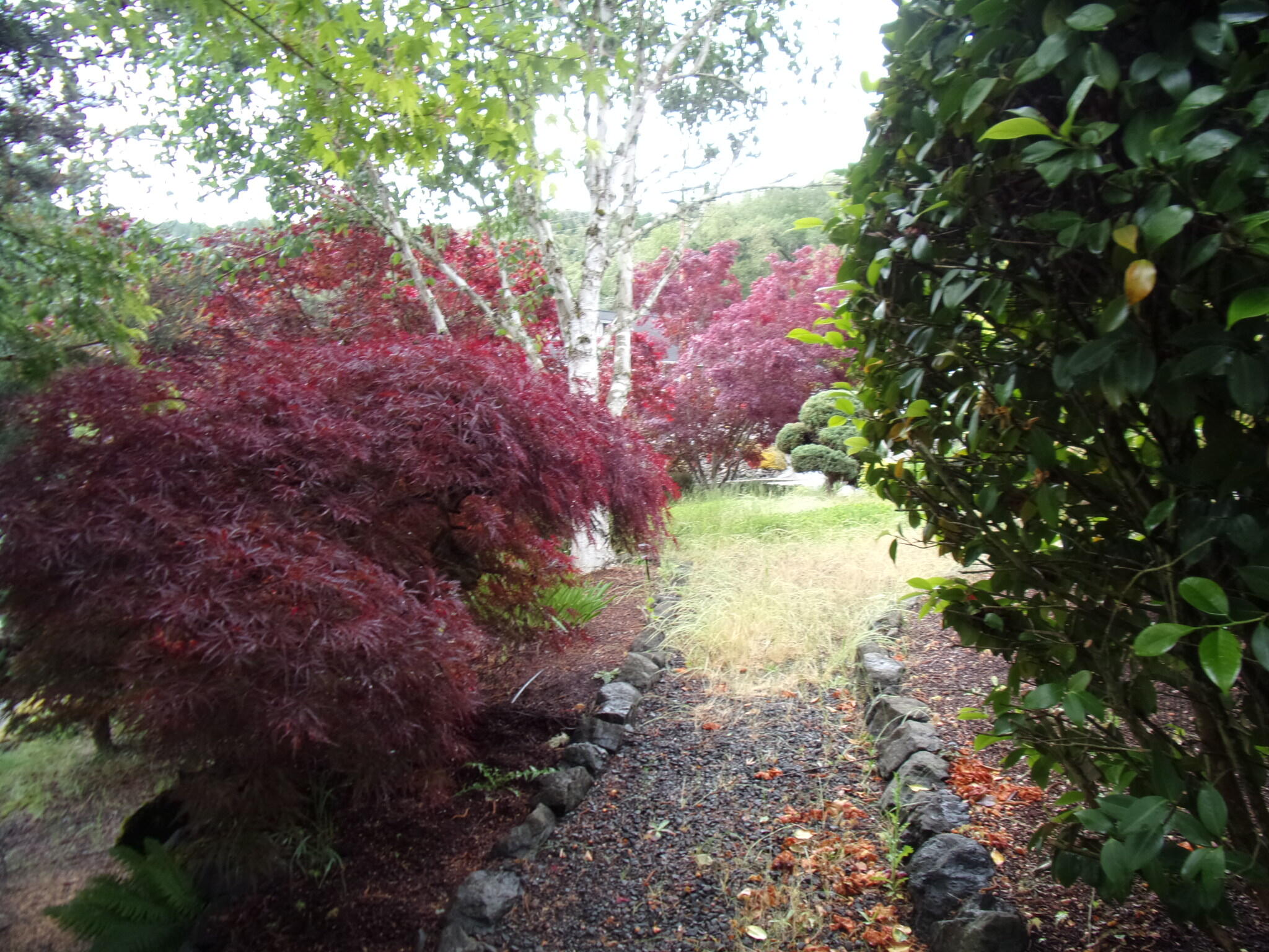 Myrtle Creek - Residential