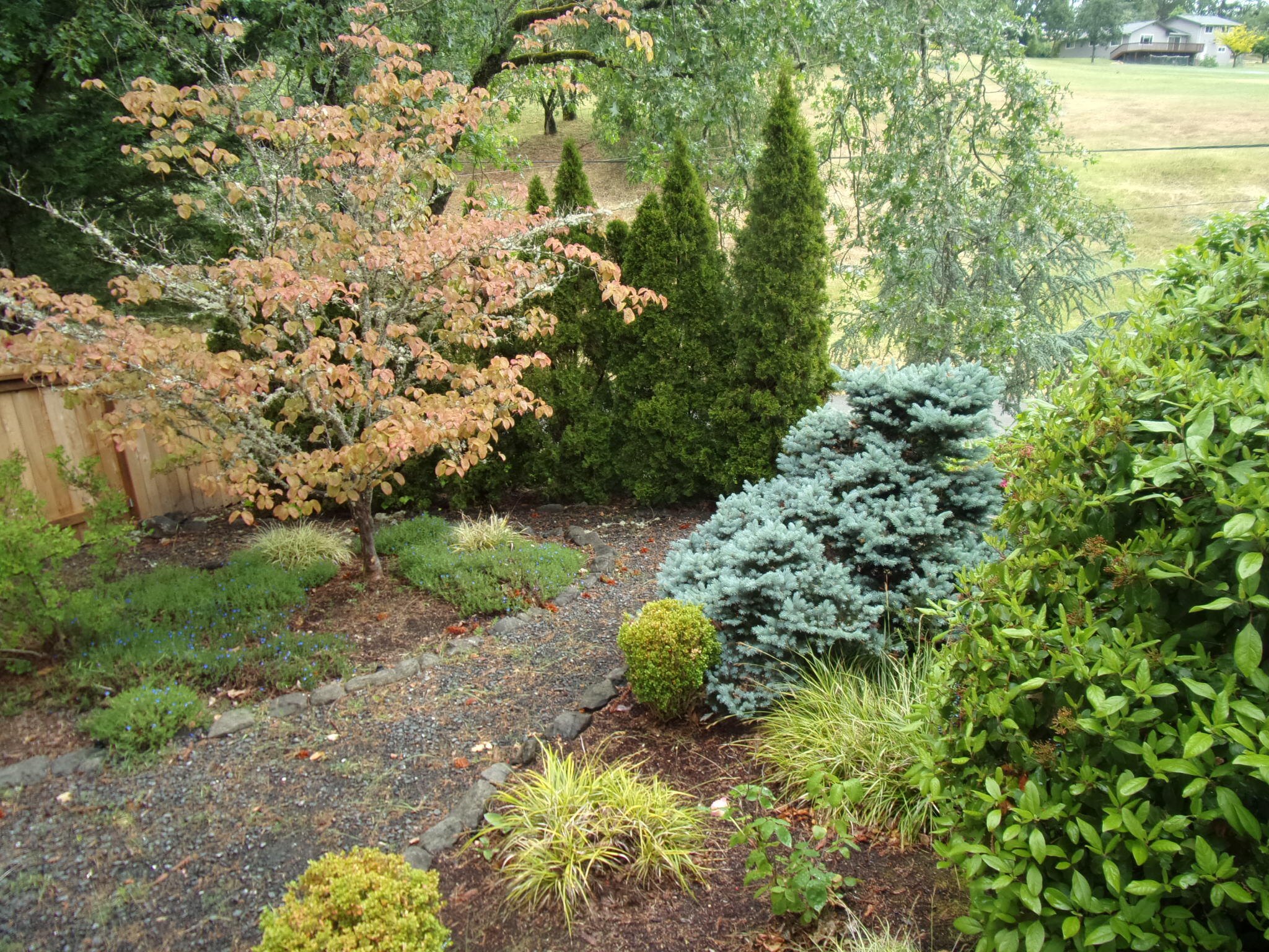 Myrtle Creek - Residential