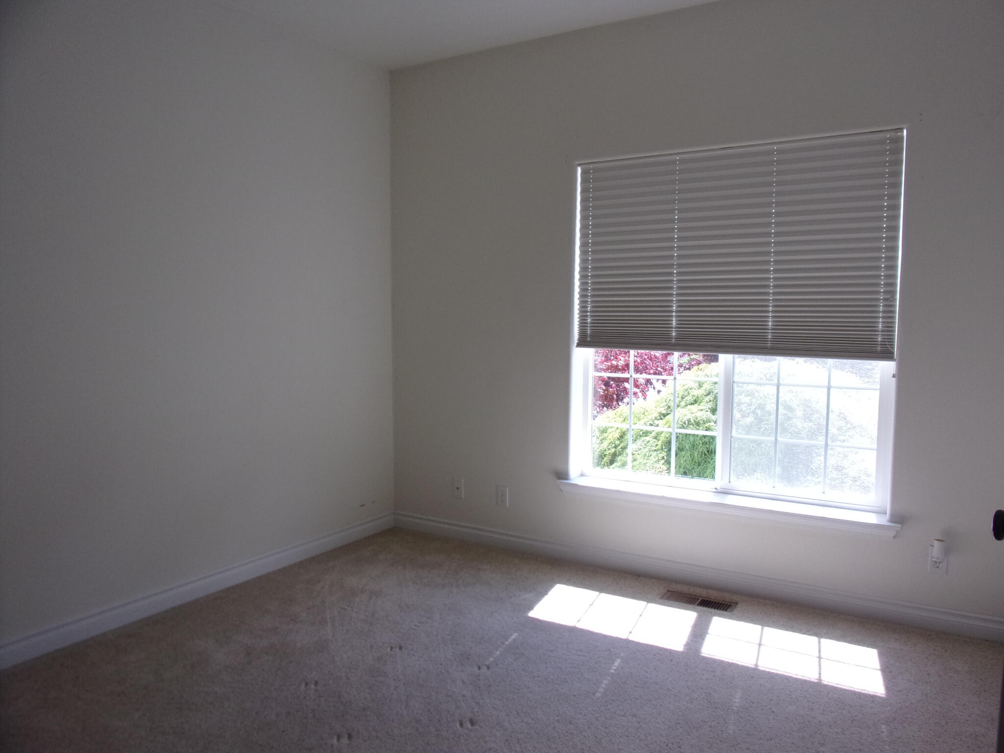 Myrtle Creek - Residential