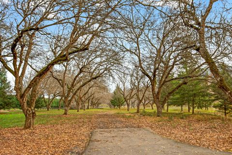 Tiny photo for 5650 Kane Creek Road, Central Point, OR 97502 (MLS # 220213092)