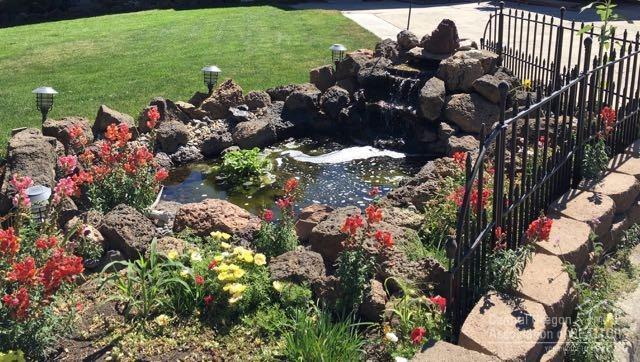 Winchester Arms - Residential