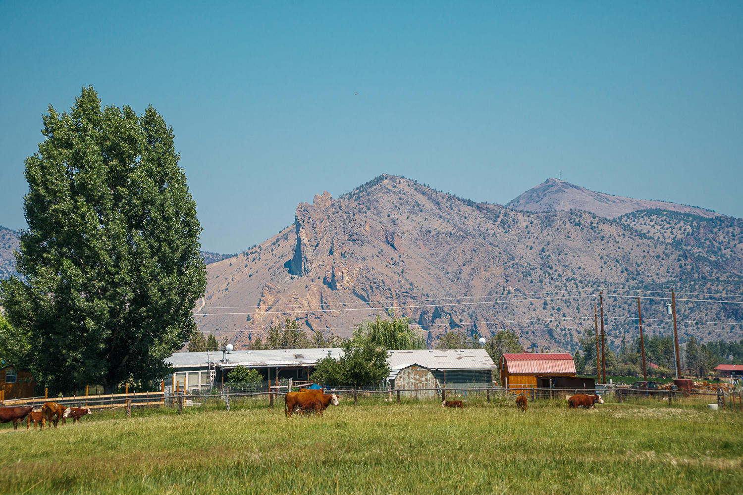 Lake Park Estate - Residential