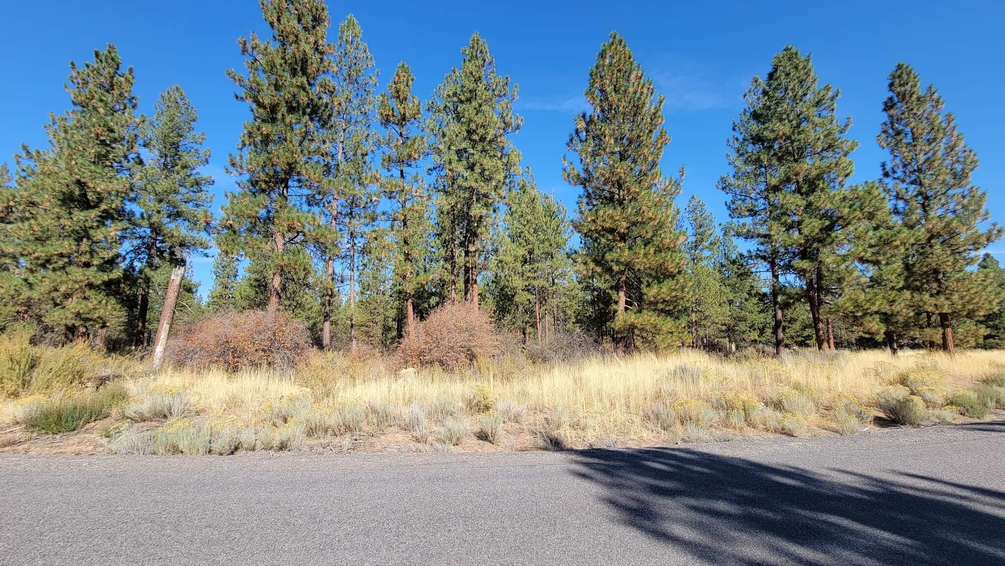 Pine Meadow Village -Phase 2 - Land