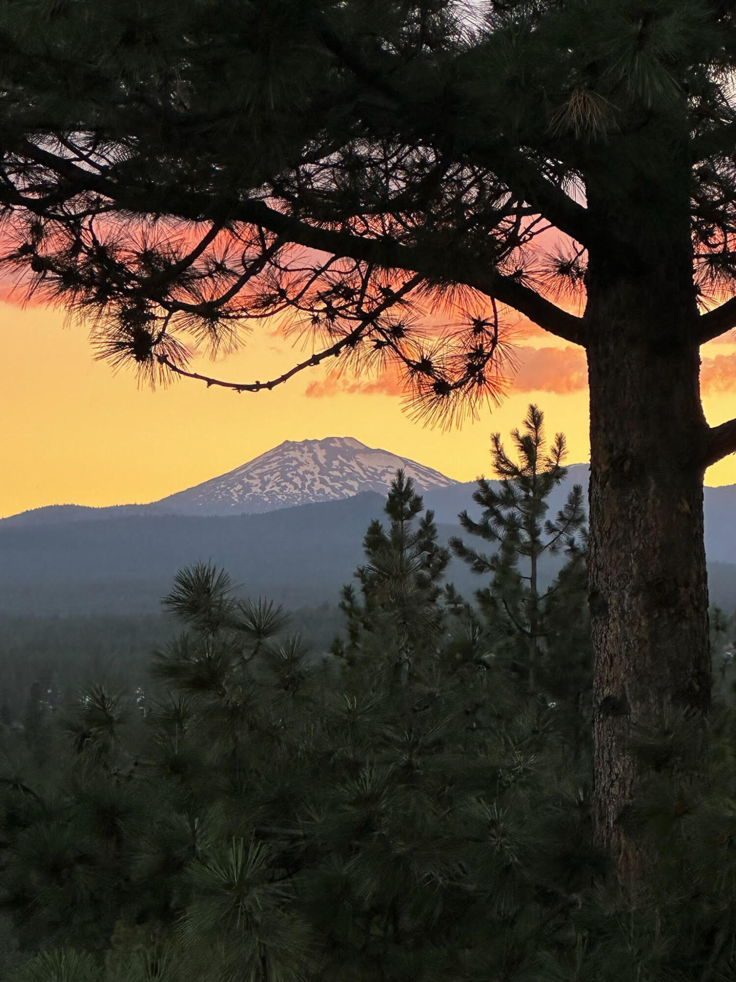 West Hills - Residential