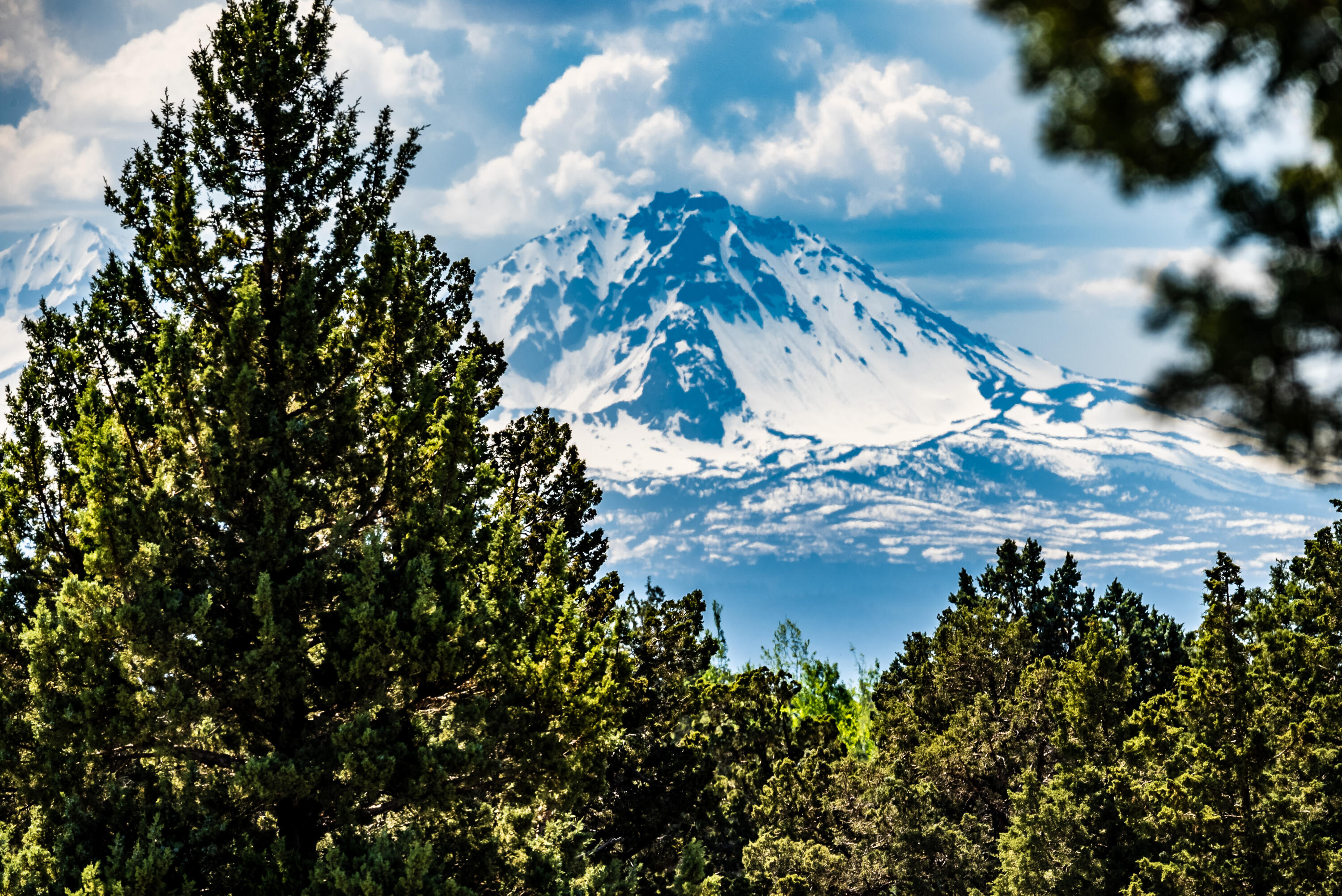 22933 Canyon View Loop Lot 186