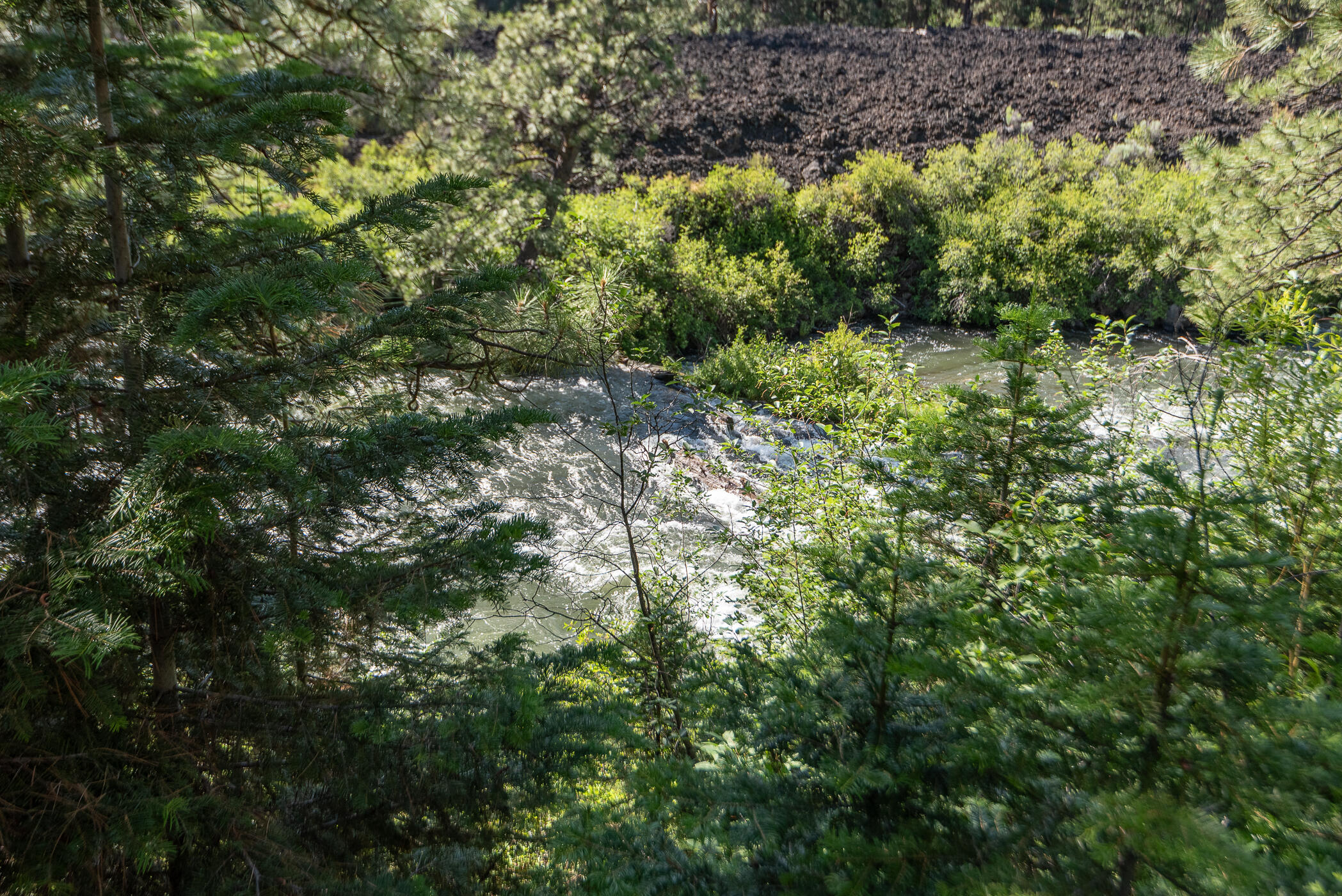 Deschutes RiverWoods - Residential