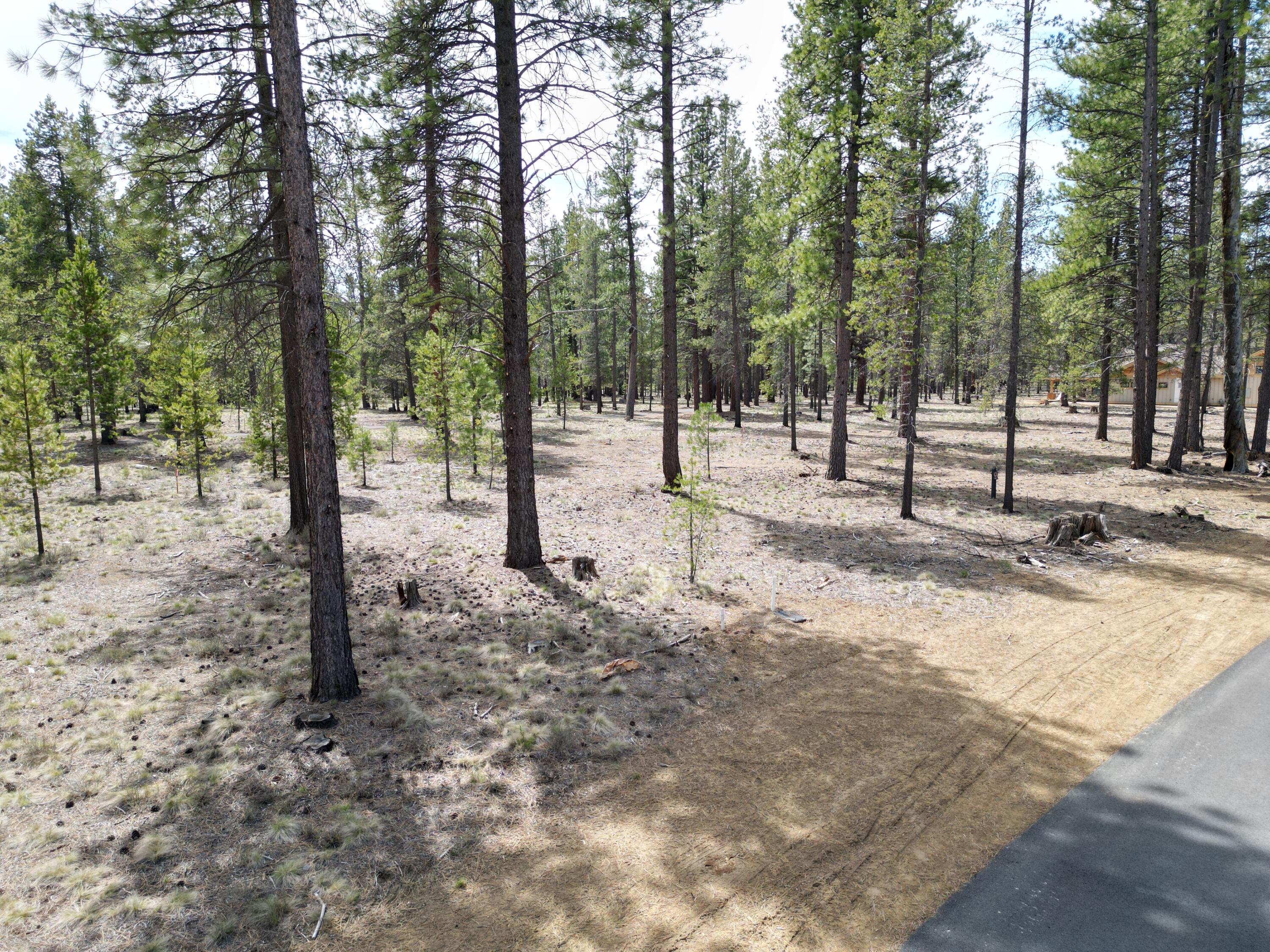 17881 Preservation Loop 421