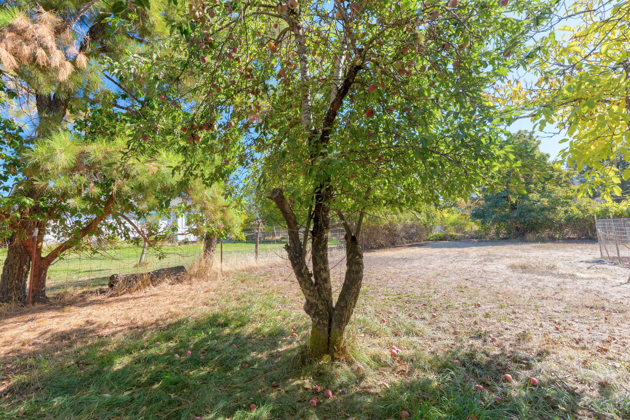 Pleasant Valley Acres - Residential