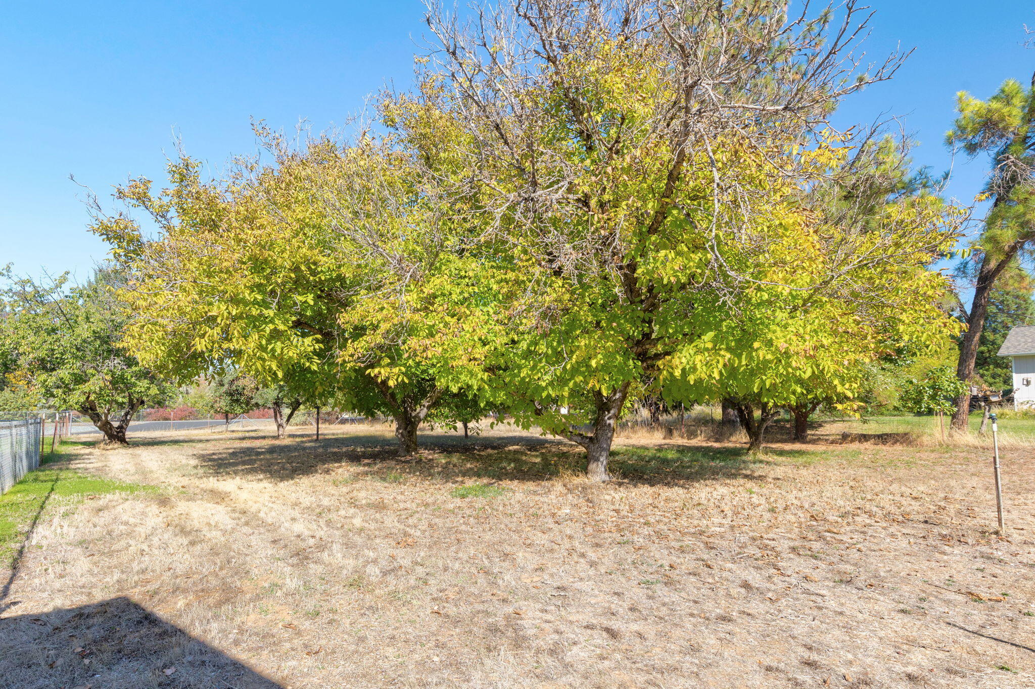 Pleasant Valley Acres - Residential