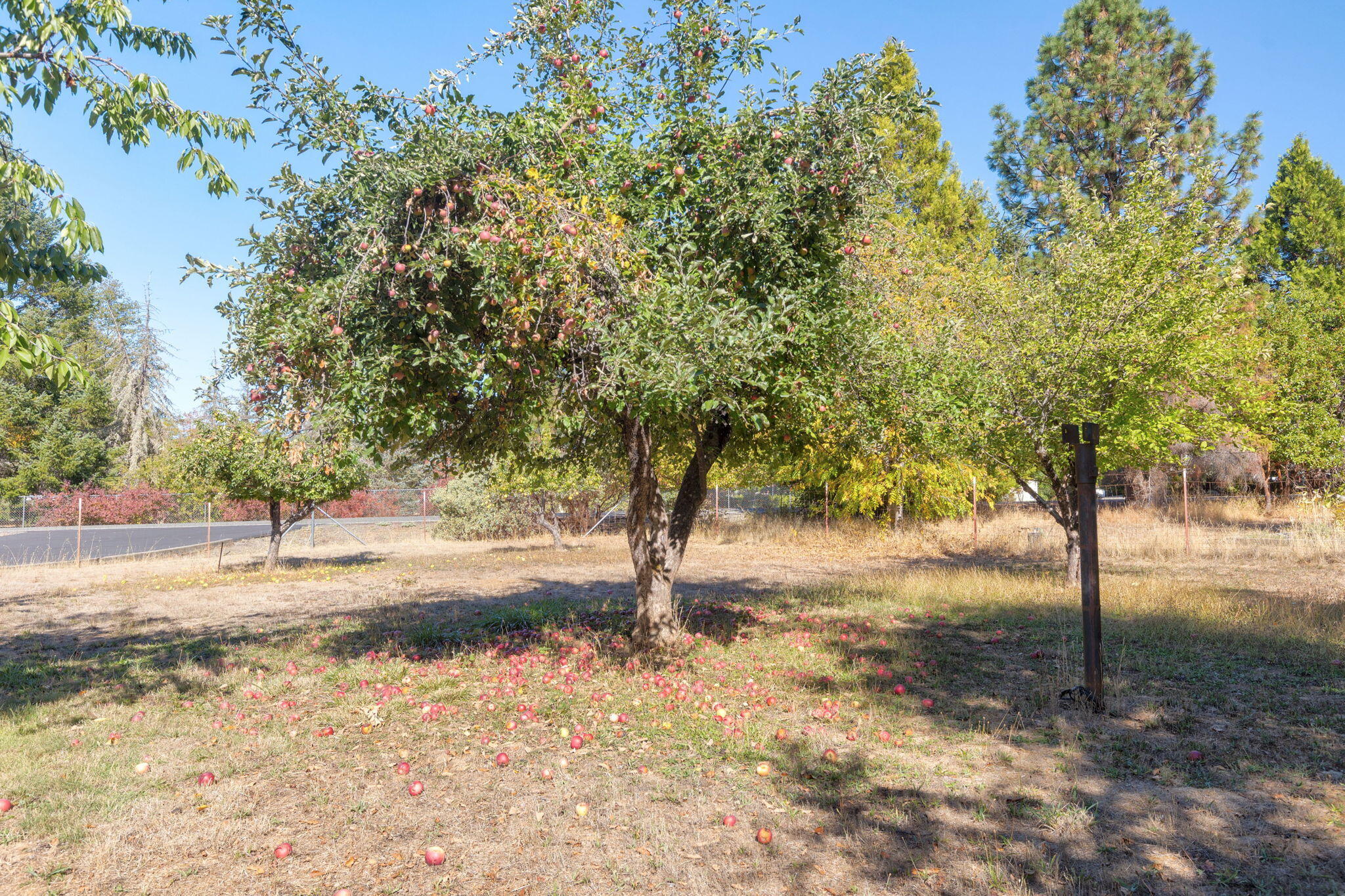 Pleasant Valley Acres - Residential