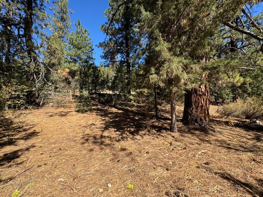Klamath Falls Forest Estates -Hwy 66 Unit -Plat No. 1 - Land