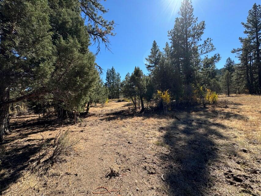 Klamath Falls Forest Estates -Hwy 66 Unit -Plat No. 1 - Land