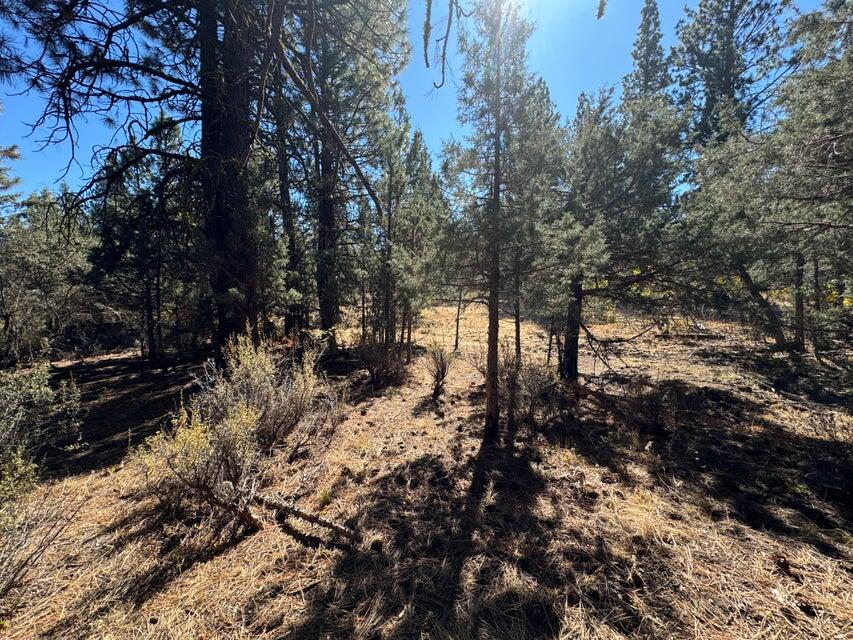 Klamath Falls Forest Estates -Hwy 66 Unit -Plat No. 1 - Land