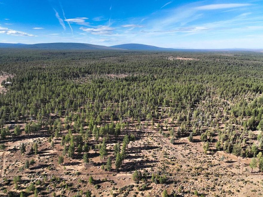 Opportunity is knocking! Don't miss your chance to own 80 stunning acres bordering the Deschutes National Forest—just minutes from downtown Sisters. This expansive parcel offers endless possibilities and serves as a blank canvas for your dream vision. Whether you're seeking a private retreat, recreational haven, or future homesite, the potential is all here. Buyers will need to apply for a building permit, septic approval, and a well installation. Properties like this—combining size, location, and natural beauty—rarely come on the market. Act now and make this one-of-a-kind property yours!