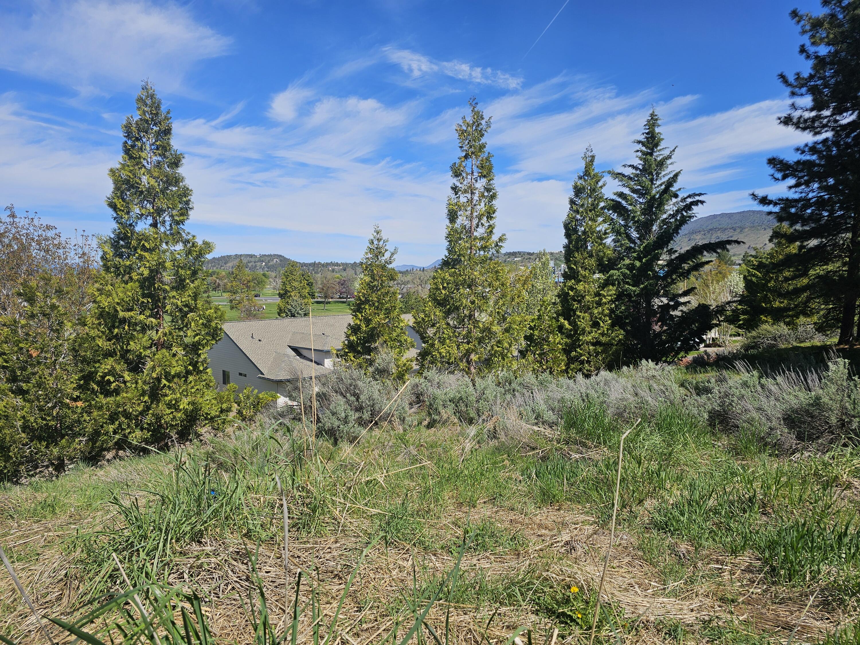 Klamath Falls -Buena Vista Addition - Land