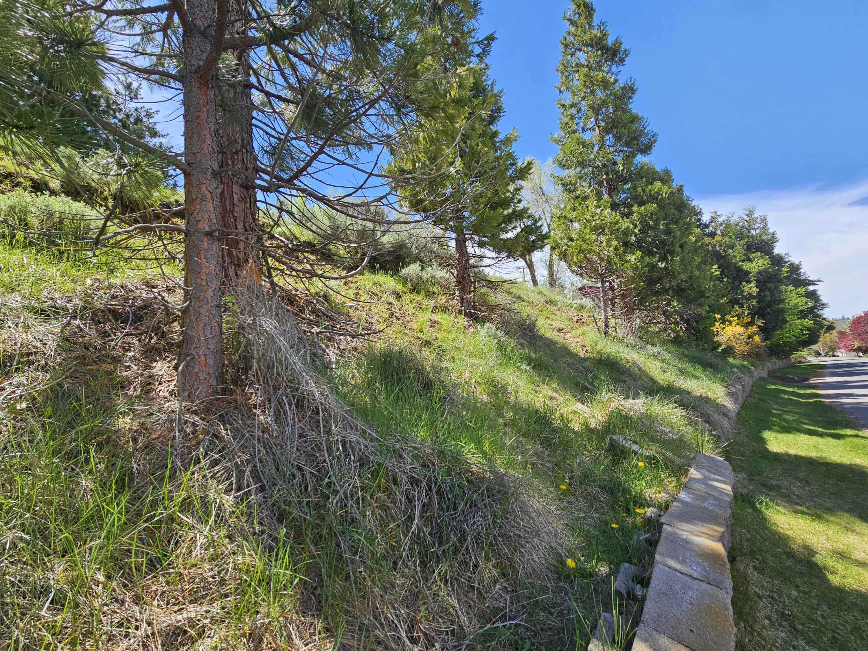 Klamath Falls -Buena Vista Addition - Land