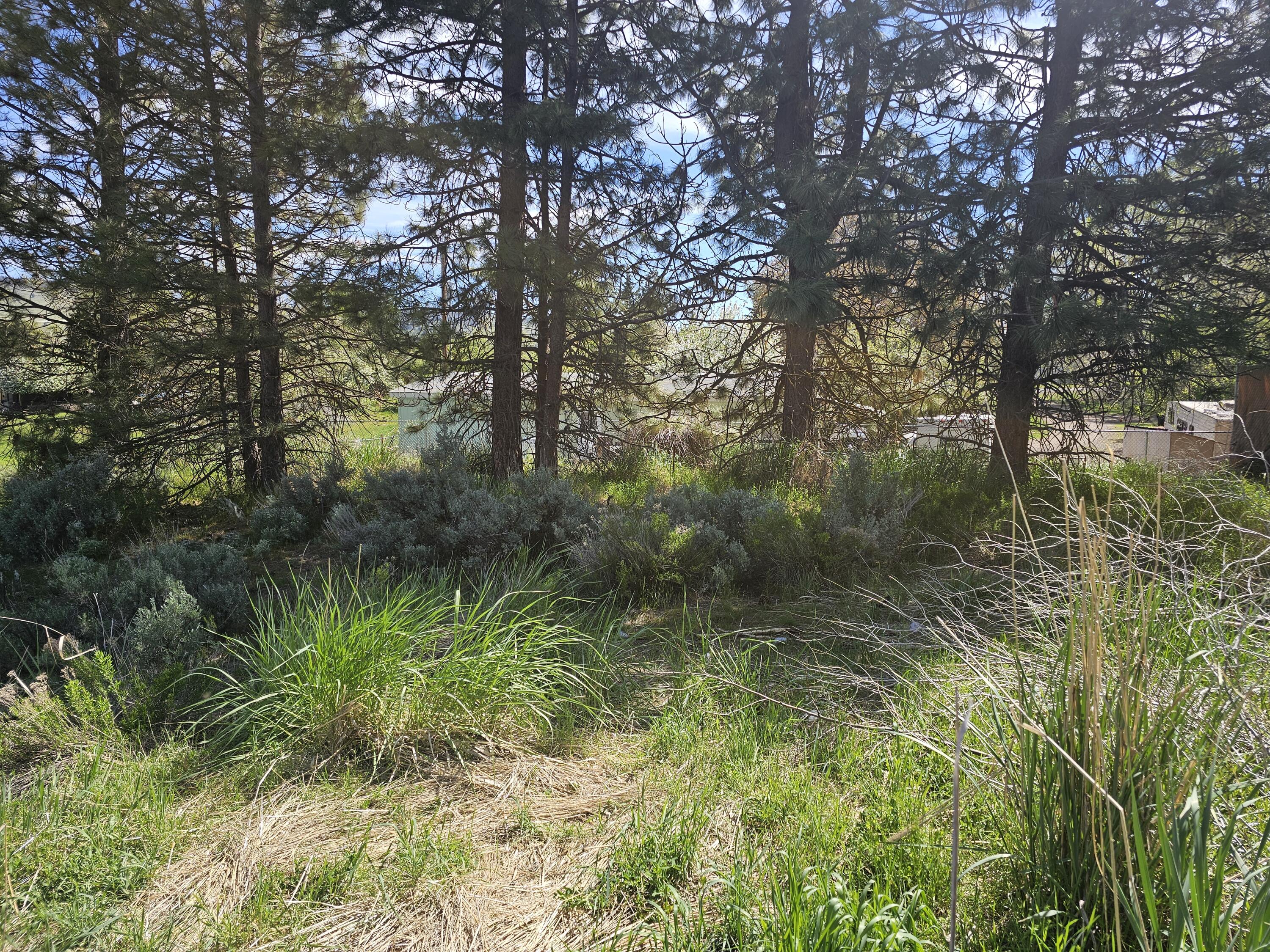 Klamath Falls -Buena Vista Addition - Land