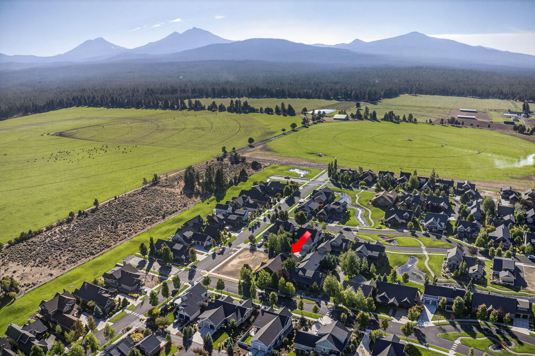 Pine Meadow Vill - Residential