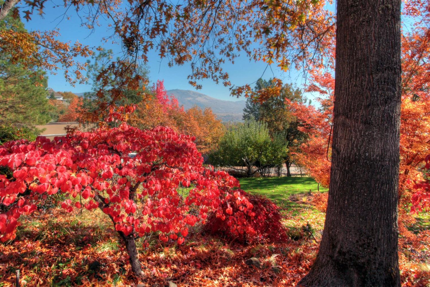 High Oaks Subdivision - Residential