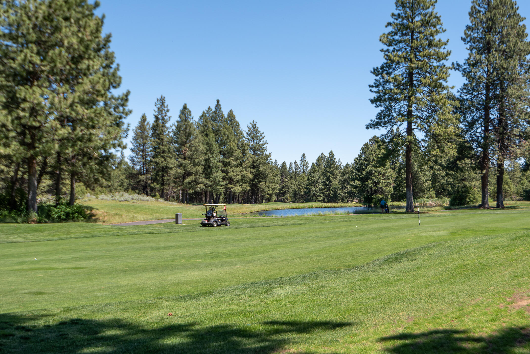 Milepost 1 - Residential