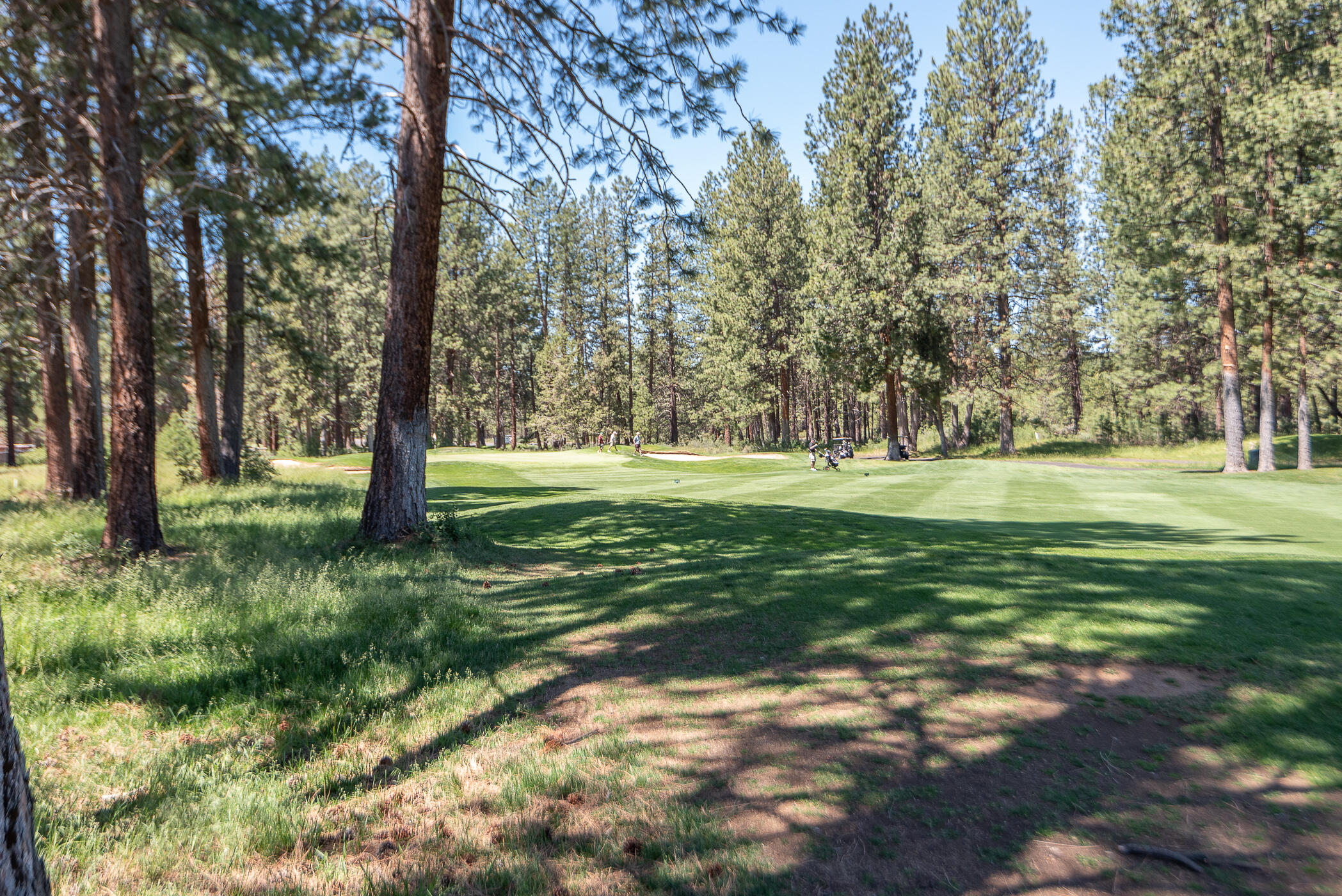 Milepost 1 - Residential