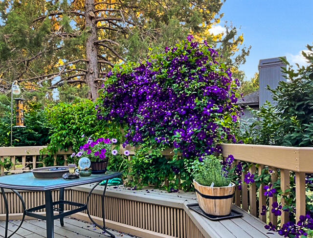 Mtn High - Residential