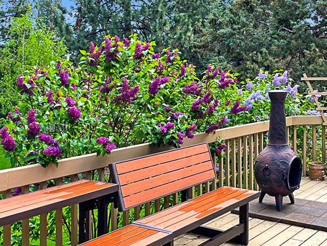 Mtn High - Residential