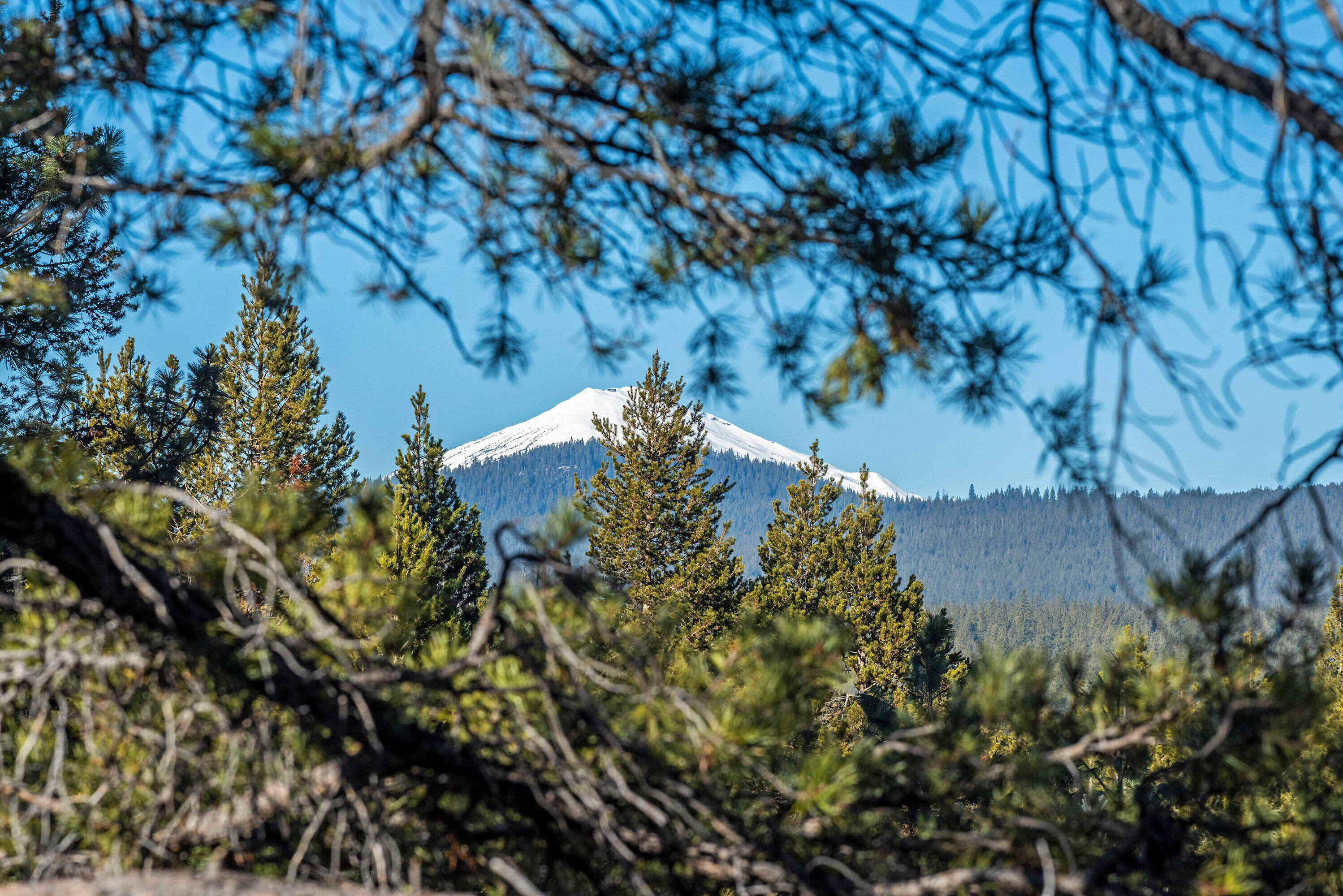 Fairway Crest Village - Residential