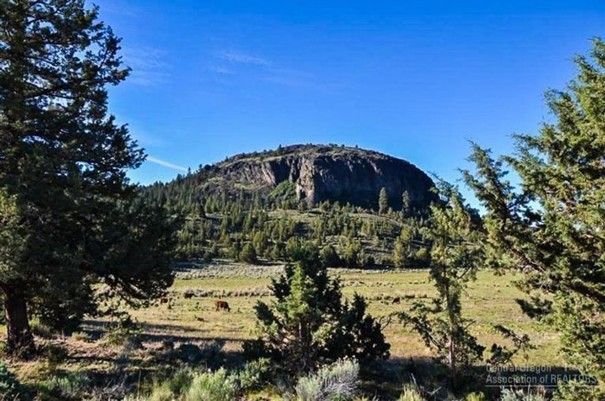 Nestled at the base of the Maury Mts. in Central Oregon, this masterpiece of nature is being offered for sale to the outdoorsman or rancher looking for a that special landholding. Nye Ranch is made up of 2 contiguous ranches with a residence on each property. Elk & deer graze the numerous sub-irrigated pastures & timbered hillsides. Indoor arena/barn w/bunk area, lg 4-bay shop, dog kennel, & huge hay sheds. Dozens of natural springs & Little Bear Creek provide abundant water.