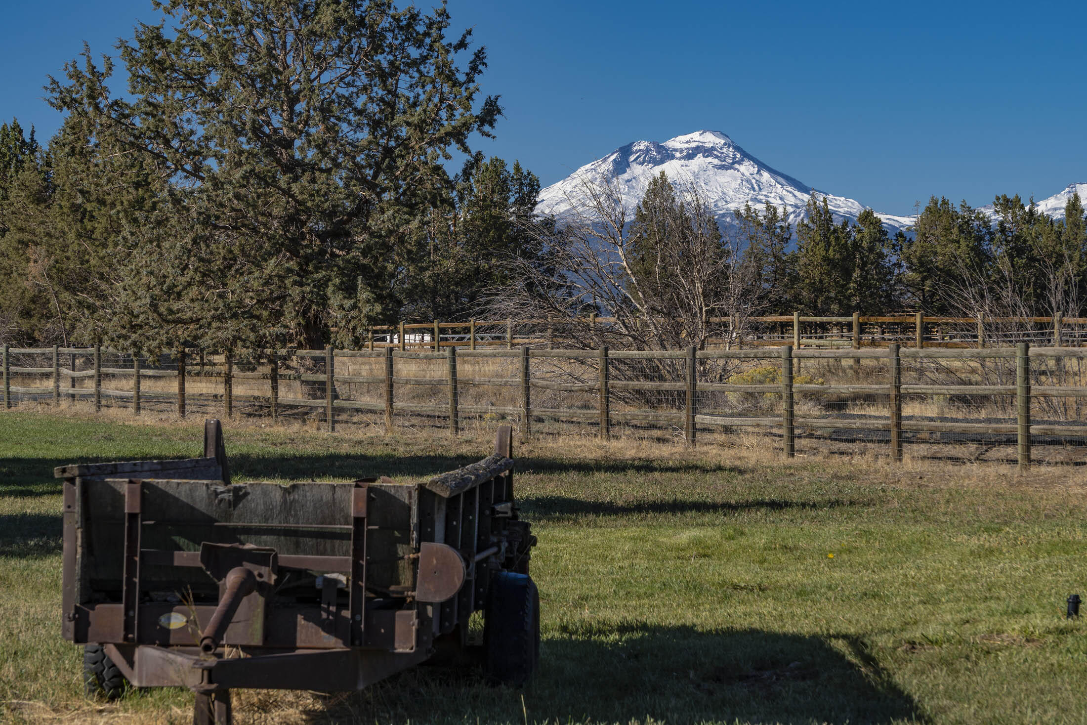 Desert Sand Arabian - Residential