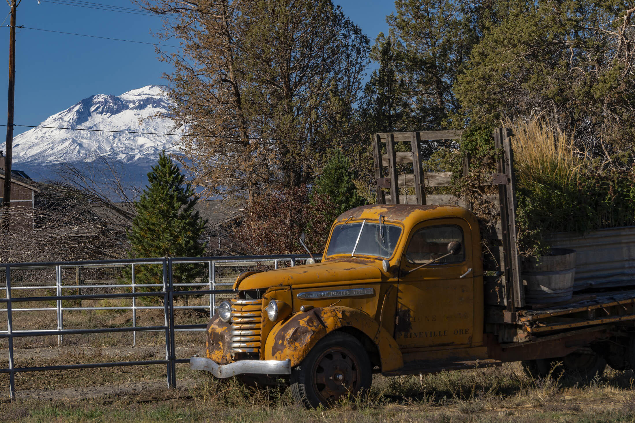 Desert Sand Arabian - Residential