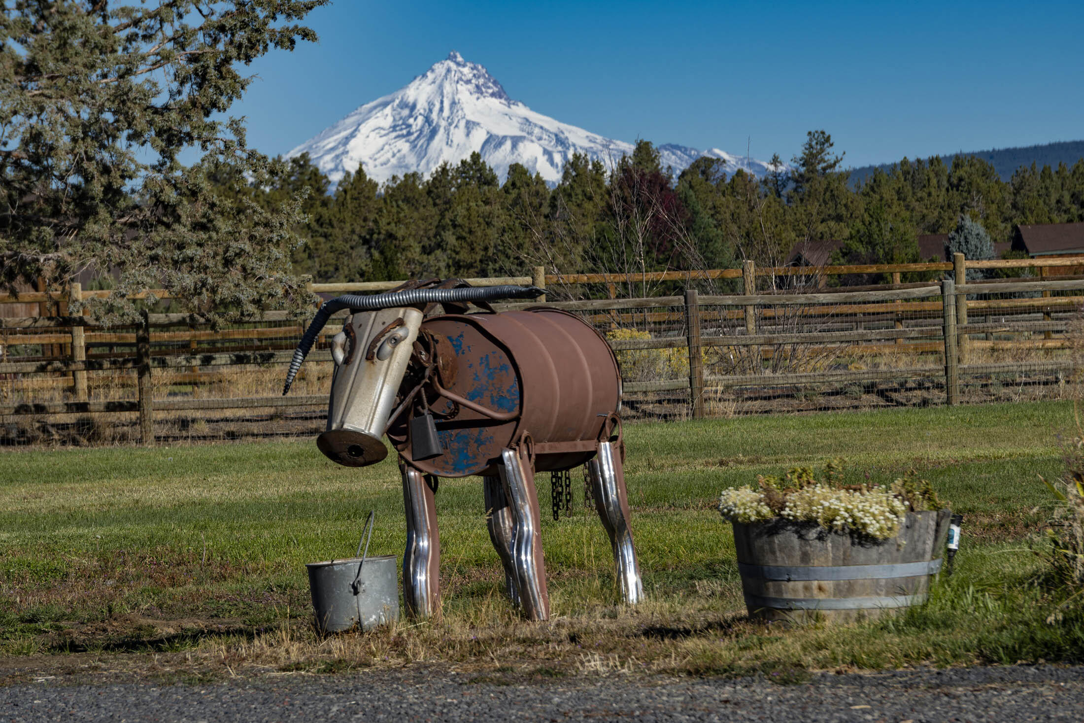 Desert Sand Arabian - Residential