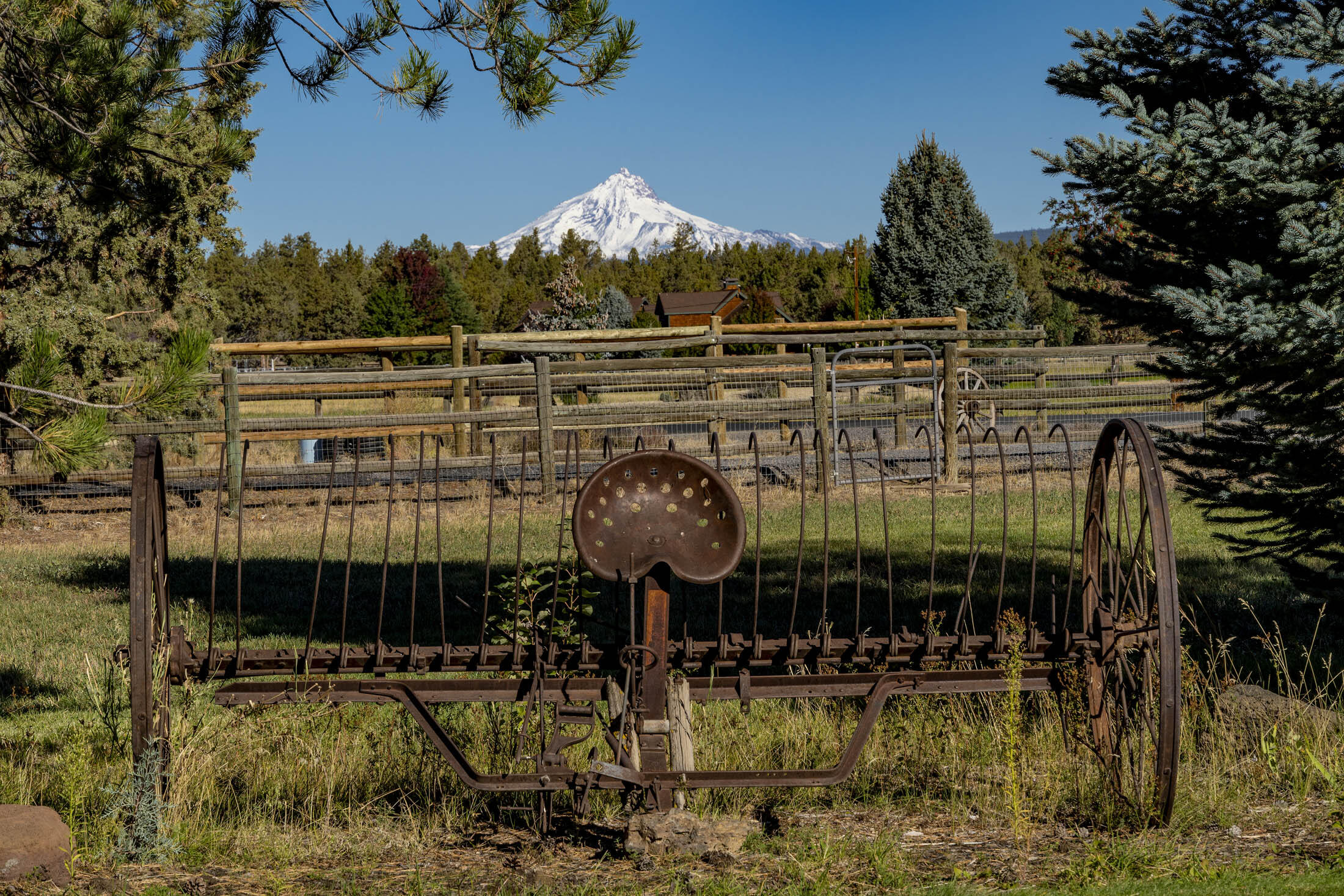 Desert Sand Arabian - Residential