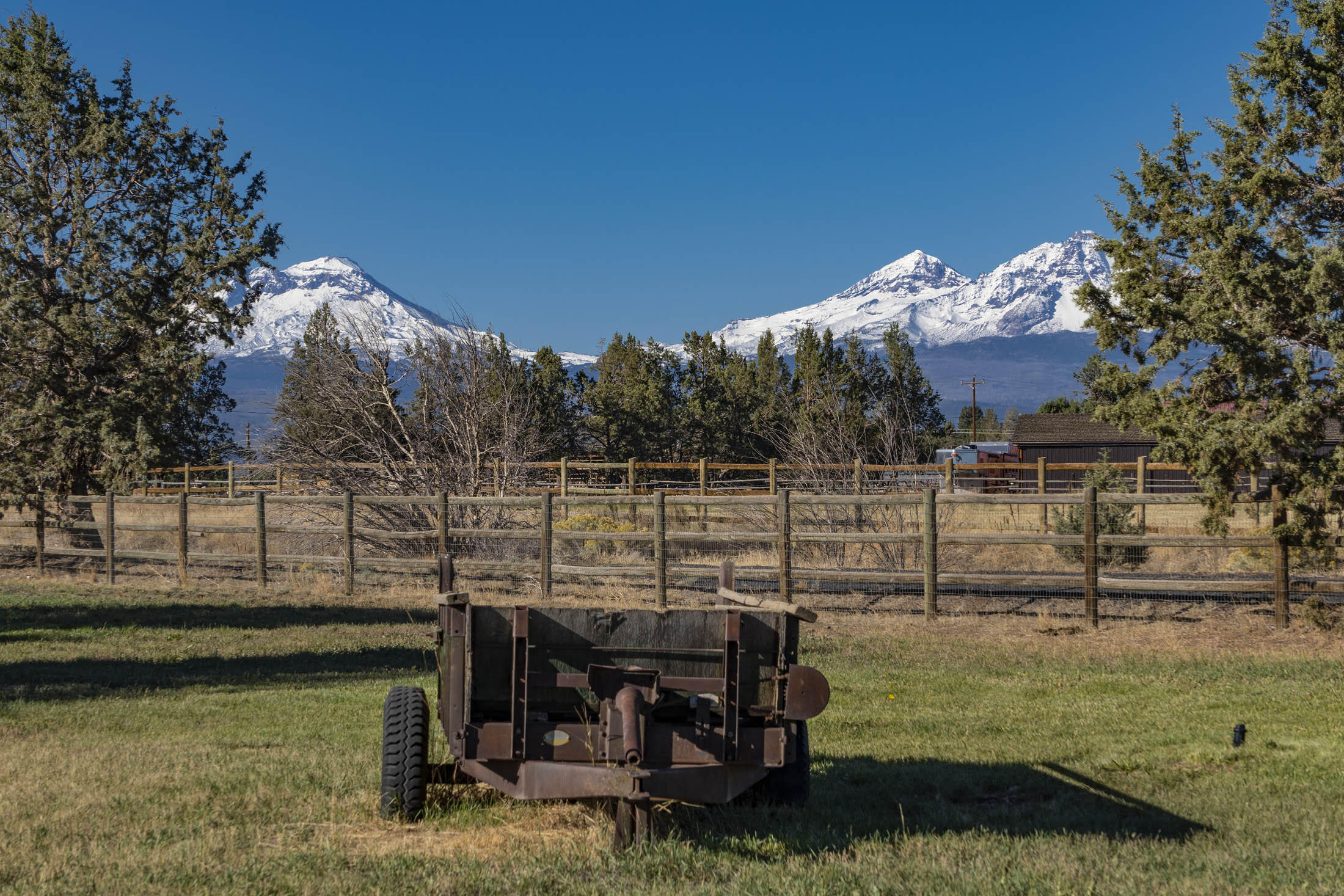 Desert Sand Arabian - Residential