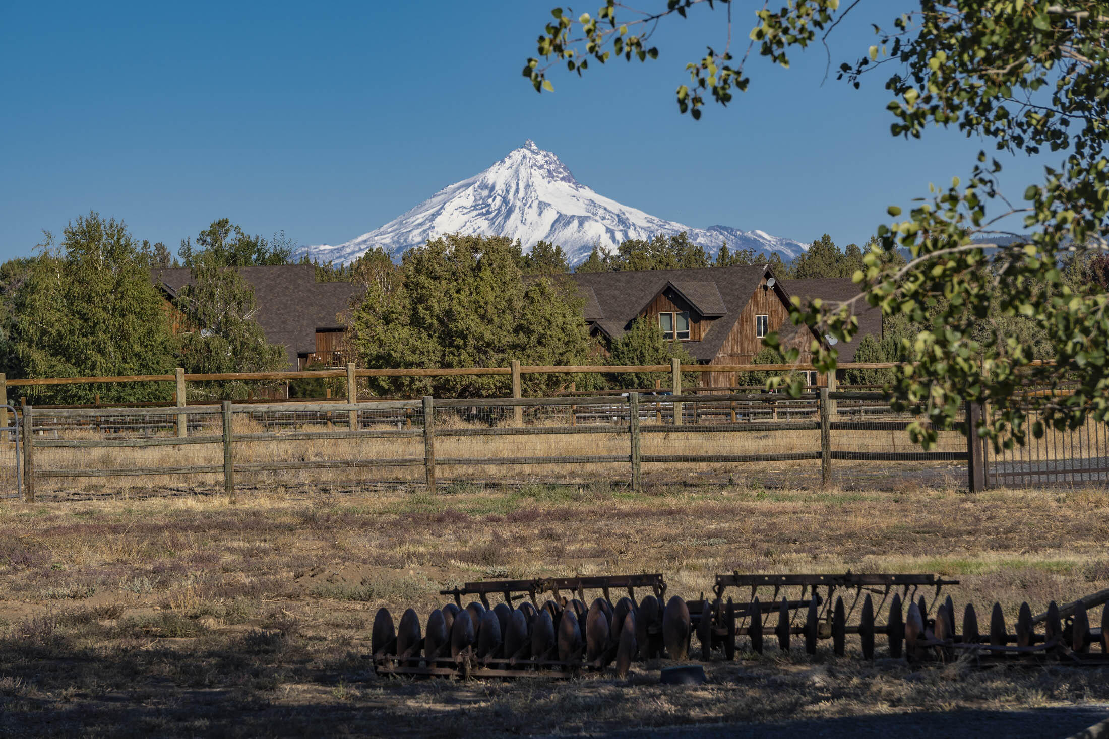 Desert Sand Arabian - Residential