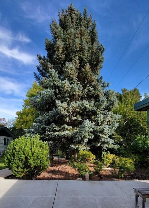 Tiny photo for 320 SW Beaver Street, Prineville, OR 97754 (MLS # 220210198)