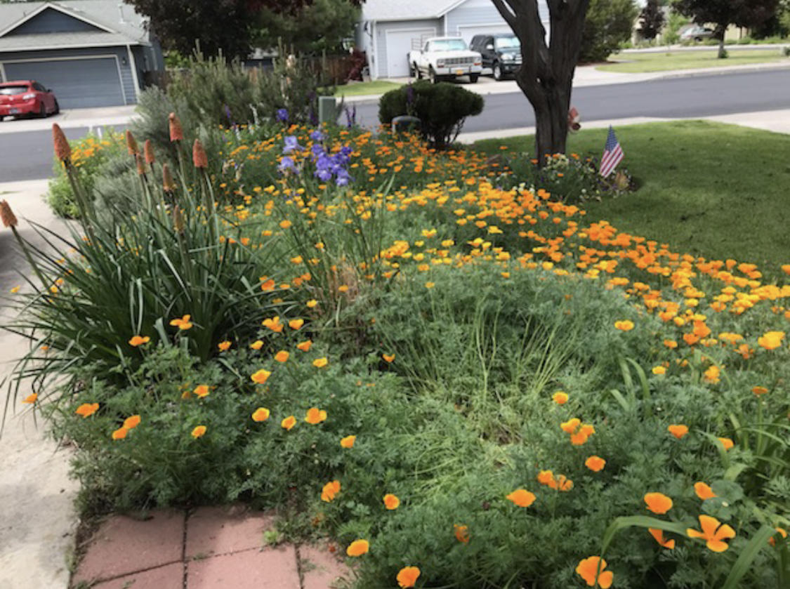 Canyon Point - Residential