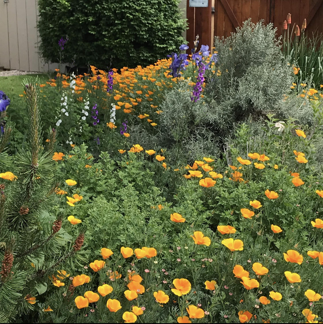 Canyon Point - Residential