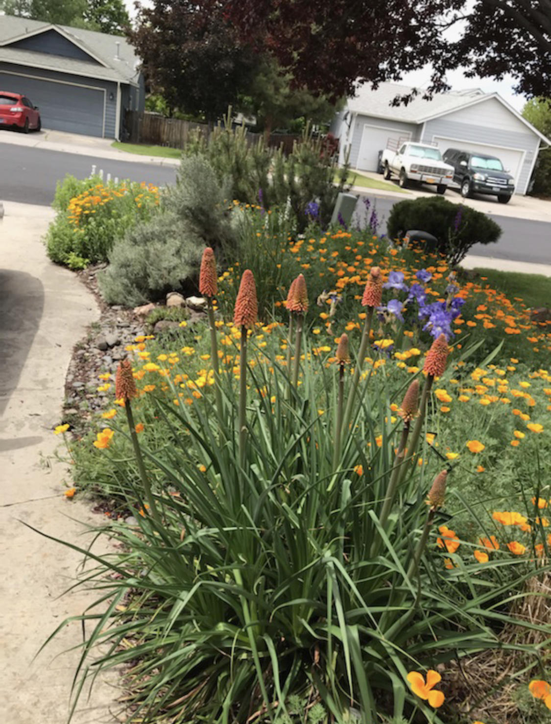 Canyon Point - Residential